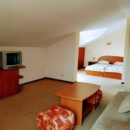 Guest house Solis 3*